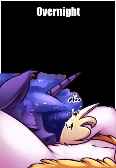 Overnight Overnight