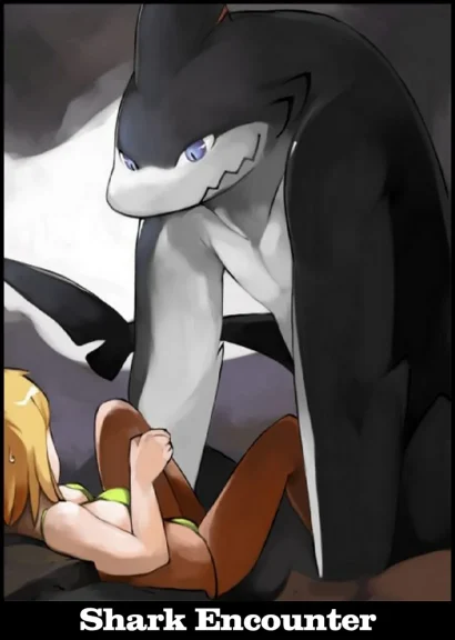 Shark Encounter Shark Encounter