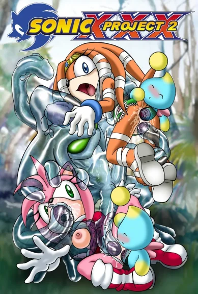 Sonic Project XXX 2