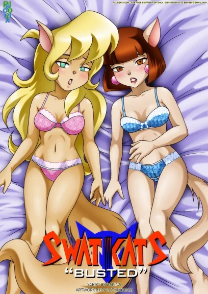 Swat Kats - Busted