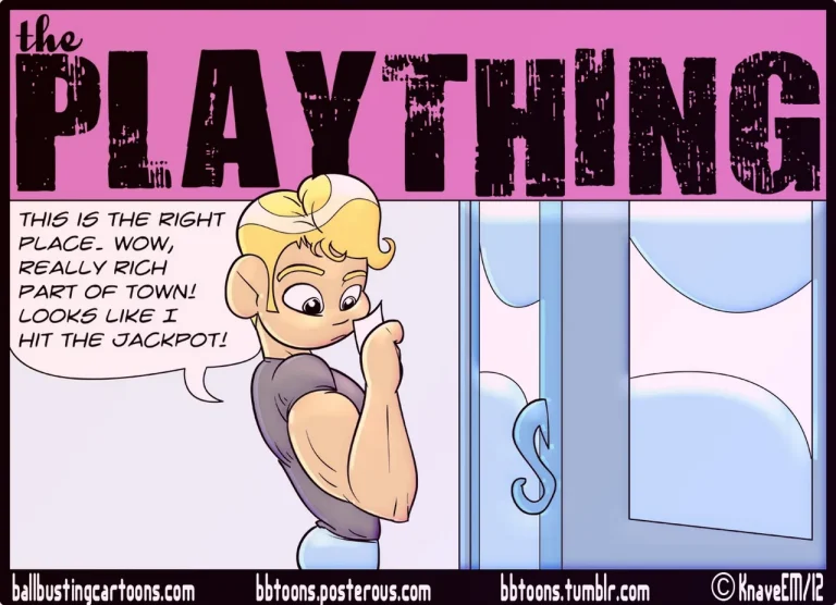 The Plaything The Plaything