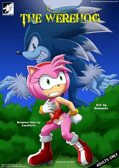 The Werehog The Werehog