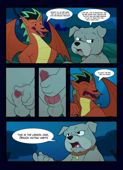 Dragon Lessons Dragon Lessons