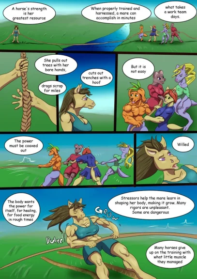 Horse Tug Of War Horse Tug Of War