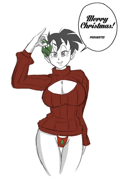 Merry Christmas From The Dragon Ball Women Merry Christmas From The Dragon Ball Women