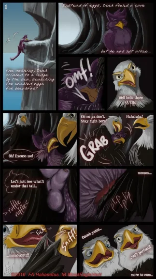 Zeek Finds An Eagle Eyrie