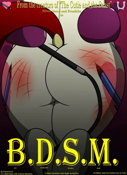 B.D.S.M B.D.S.M