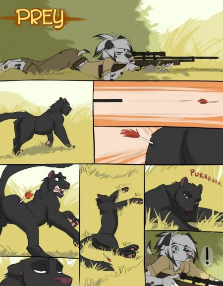 Prey Prey