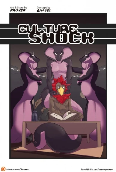 Culture Shock Culture Shock