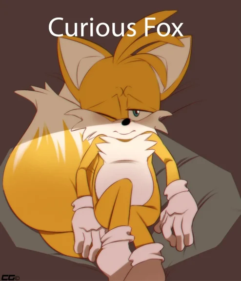 Curious Fox Curious Fox