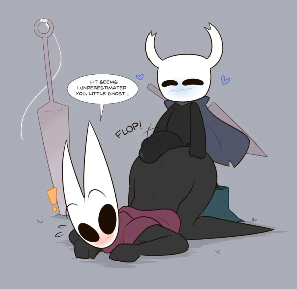 Hollow Knight Hollow Knight