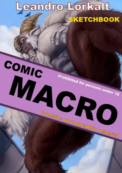 Macro Macro